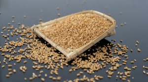 Sesame seeds in a woven basket with some scattered around on a dark surface.